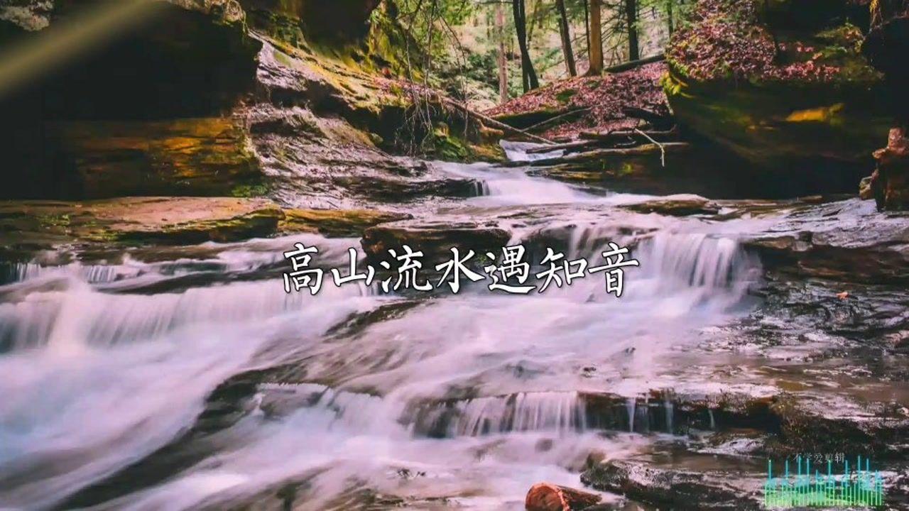 张小斐爆料：贾玲练出了一身腱子肉，女神的蜕变之路